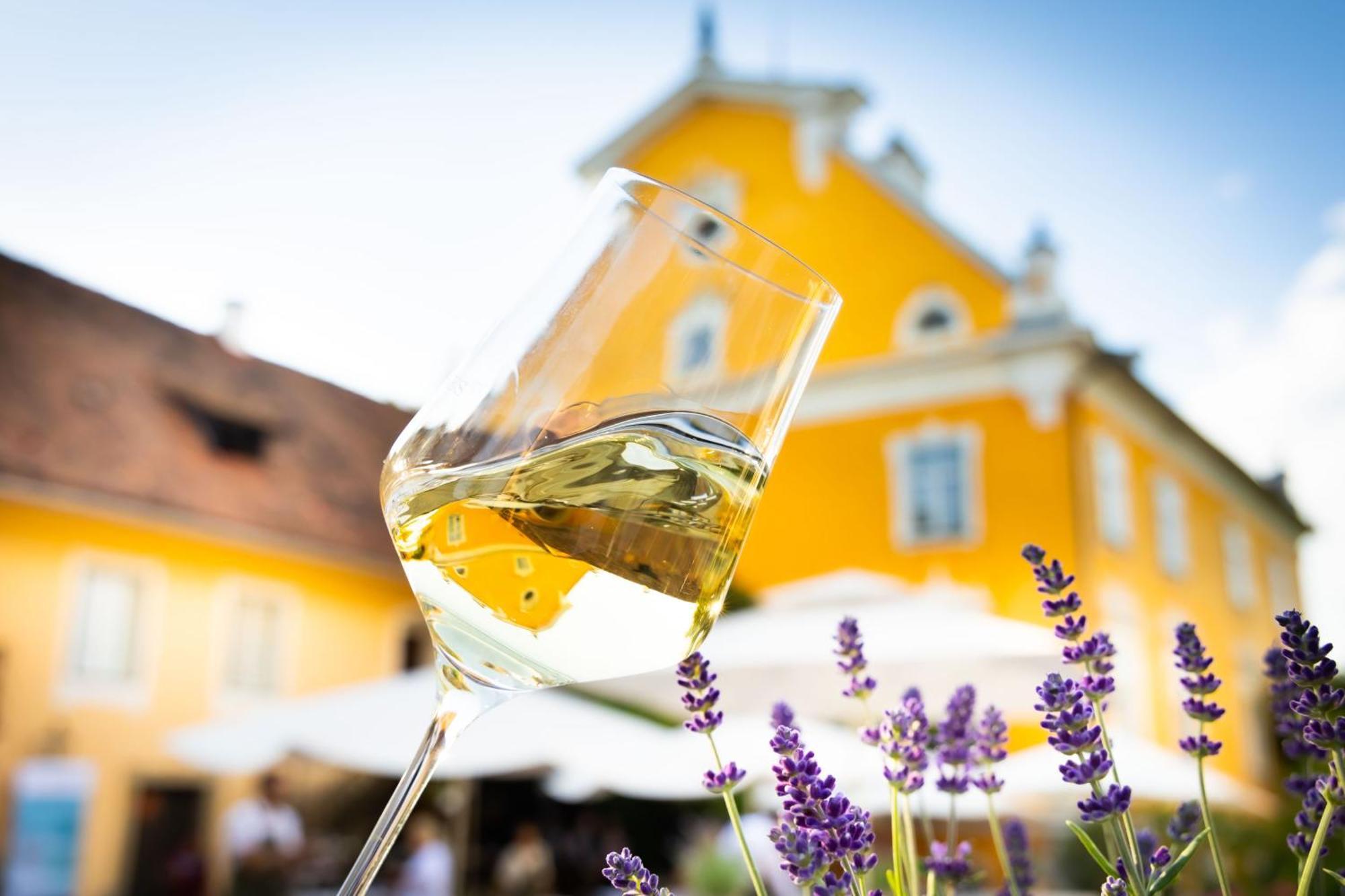 Schloss Gamlitz Eksteriør billede